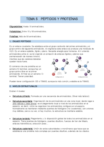 TEMA-5-bio-molec.pdf