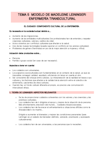 TEMA-5-enfermeria-social.pdf