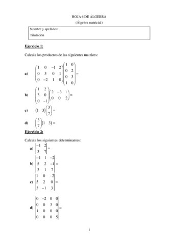 Hoja-6-de-algebra.pdf