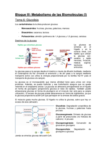 Bloque-III-Metabolismo-de-las-Biomolecuas-I-UAM.pdf