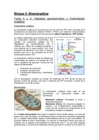 Metabolismo-Bloque-II-UAM-convertido.pdf