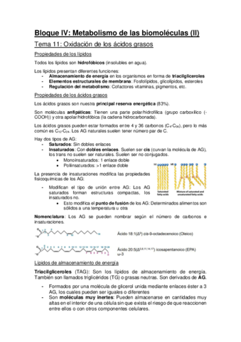 Bloque-IV-Metabolismo-de-las-biomoleculas-II-UAM.pdf