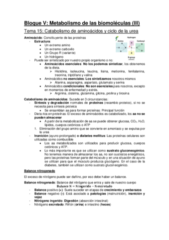 Bloque-V-y-VI-Metabolismo-UAM.pdf