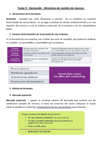 Tema-3-Politicas-de-Marketing.pdf