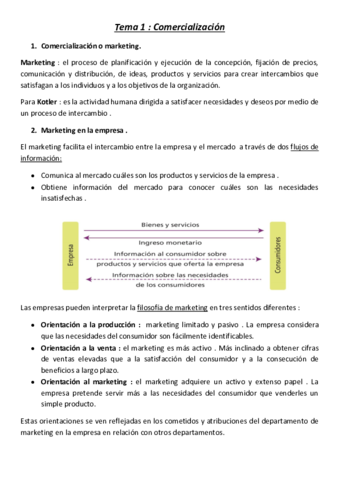Tema-1-Politicas-de-Marketing.pdf