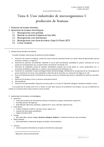 Tema-6.pdf