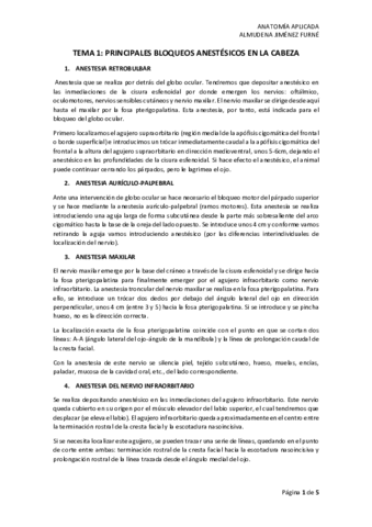 ANATOMIA-APLICADA.pdf