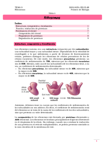 TEMA 9. Ribosomas