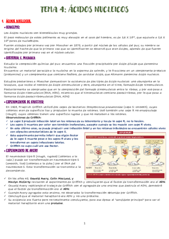 TEMA-4-ACIDOS-NUCLEICOS.pdf