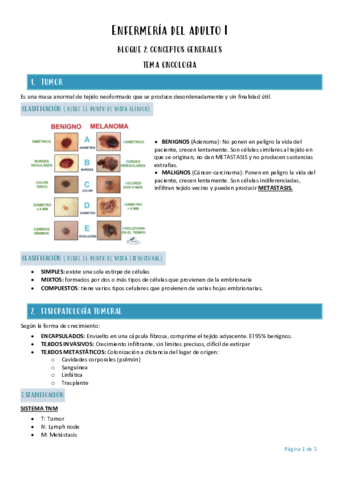 Enfermeria-del-adulto-I-tema-oncologia.pdf