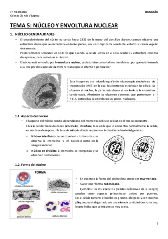 TEMA-5-1.pdf