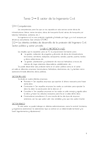 TEMA-2-IYE.pdf