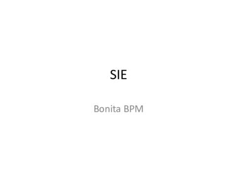 BonitaBPM1.pdf