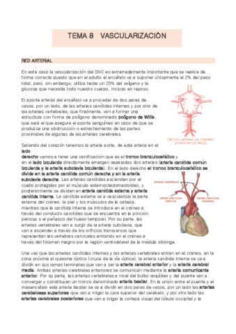 TEMA-8-anatomia.pdf