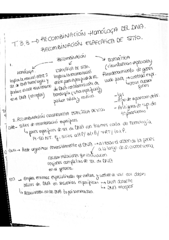 recombinacion-parte-2.pdf