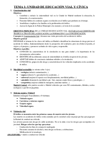Concienciancion-vial.pdf