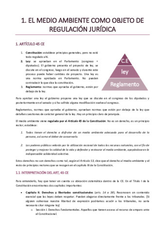 TEMAS-1-10-DERECHO-AMBIENTAL.pdf