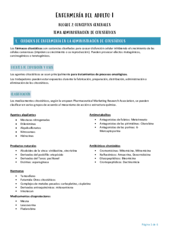 Enfermeria Del Adulto I Administracion De Citostaticos Pdf