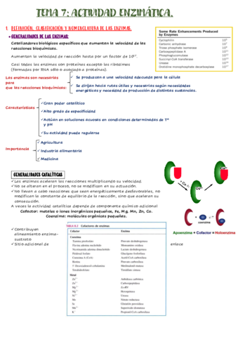 tema-7-ENZIMAS.pdf