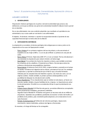 Amputaciones.pdf