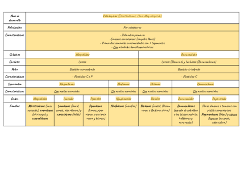 Tabla-Resumen-Angiospermas.pdf