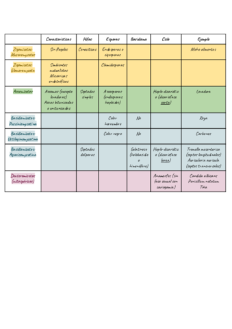 Tabla-Resumen-Hongos.pdf