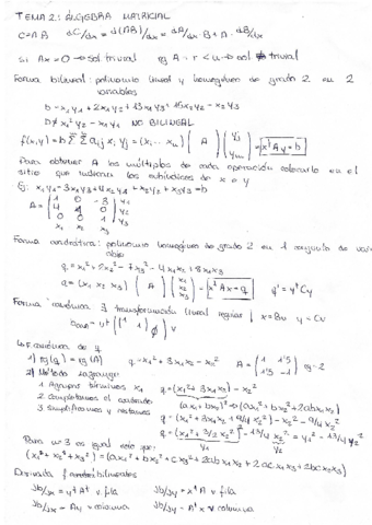 Resumen-tema-2-algebra-matricial.pdf