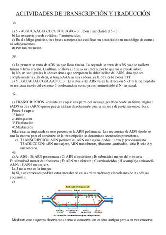 actividadestranscripcion.pdf