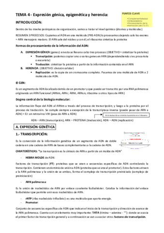 TEMA-4.pdf