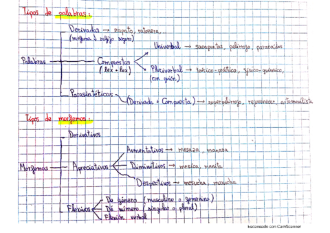 Morfología-Tipos de palabras-Lengua.pdf