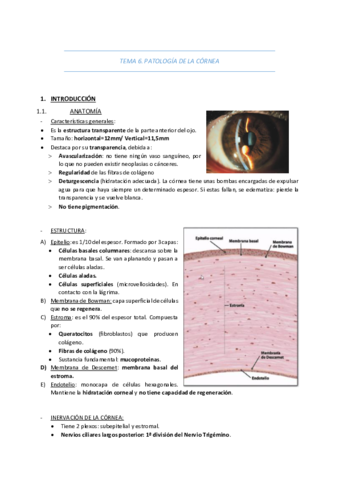 TEMA-6-PATOLOGIA-DE-LA-CORNEA.pdf