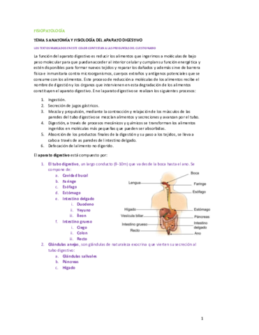 FISIOPATOLOGIA-T5.pdf