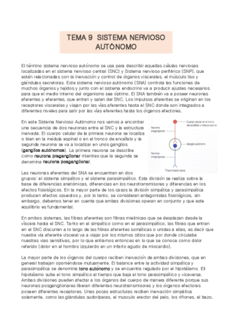 TEMA-9-anatomia.pdf