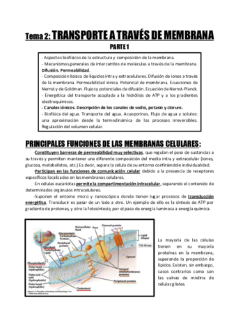 Tema-2 Transporte de membrana_Parte1.pdf