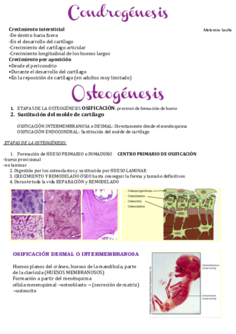 Osteogenesis.pdf