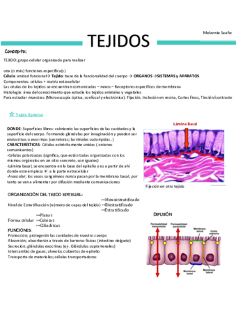 Tejidos-Generalidades.pdf