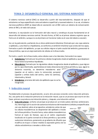 TEMA-2-Anatomia.pdf