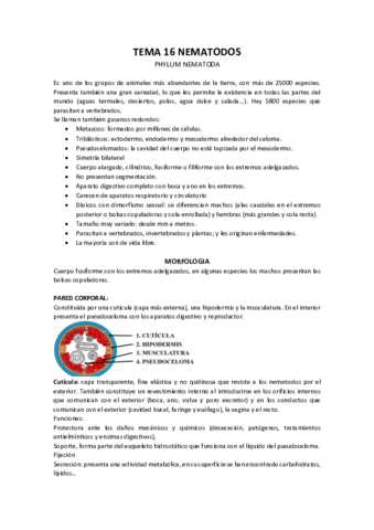 TEMA-16-NEMATODOS.pdf