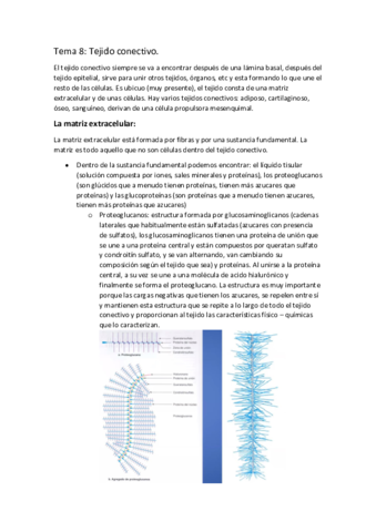 APUNTES-BIOLOGIA-T.pdf