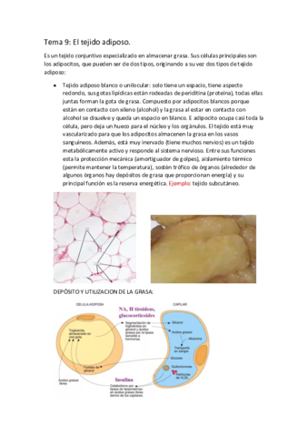 APUNTES-BIOLOGIA-T.pdf