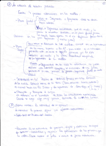 APUNTES-DE-OTRO-ANO-4.pdf