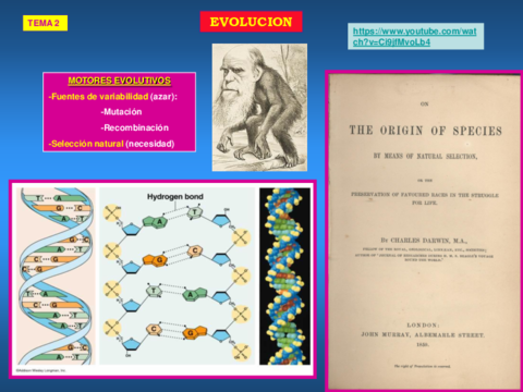 Clases-Flora-y-vegetacion-Tema-22.pdf