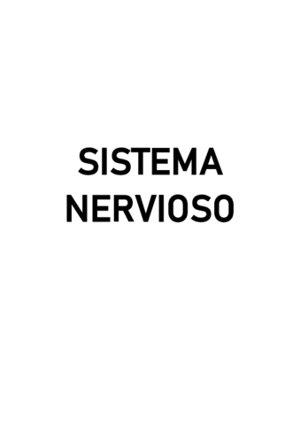 Teoria-P2-Sistema-Nervioso-.pdf
