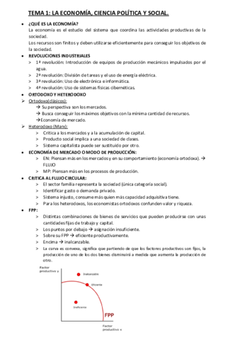 RESUMEN.pdf