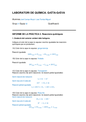 Reaccions-quimiques.pdf