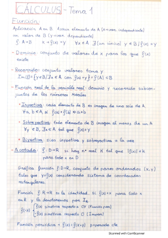 Teoria-CALCULO-I-Tema-1.pdf