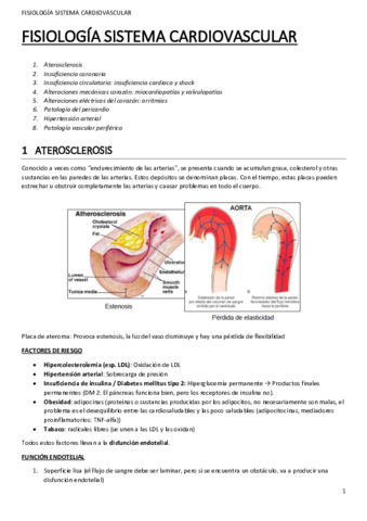 cardiovascular.pdf