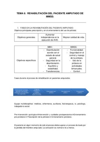 T6-rehabilitacion-miembro-amputado.pdf