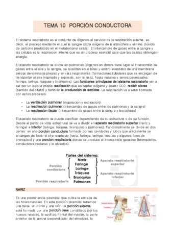 TEMA-10-anatomia.pdf