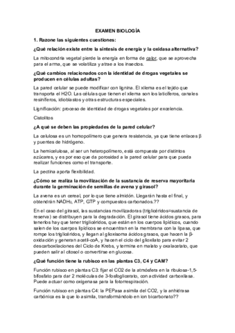 EXAMEN-ORDINARIA-2020-RESUELTO.pdf